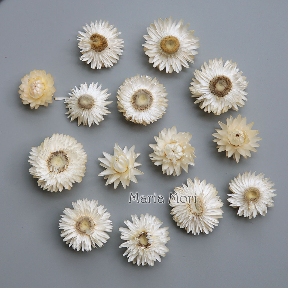 Hair Care Nature - Natural Dried Colorful Chrysanthemum Wreath Handmade